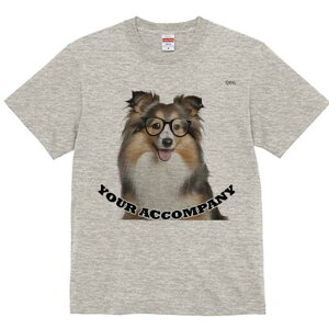 VFbghV[vhbO TVc fB[X t@  t  vg JWA 킢 lԗp h ̃fUC ʔ Kl VFbghV[vhbO