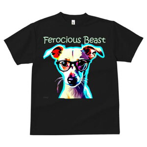 WbNbZeA TVc fB[X t@  t  vg JWA 킢 lԗp h ̃fUC ʔ Kl WbNbZeA