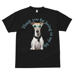 C^AO[nEh TVc fB[X t@  t  vg JWA 킢 lԗp h ̃fUC ʔ Kl C^AO[nEh lN^C