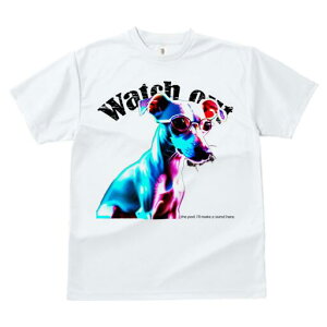 C^AO[nEh TVc fB[X t@  t  vg JWA 킢 lԗp h ̃fUC ʔ Kl C^AO[nEh