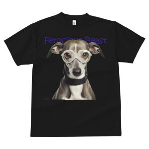 C^AO[nEh TVc Y LbY t@  t  vg JWA 킢 lԗp h ̃fUC ʔ Kl C^AO[nEh