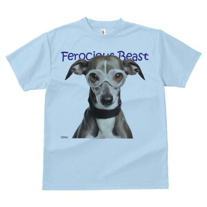 C^AO[nEh TVc Y LbY t@  t  vg JWA 킢 lԗp h ̃fUC ʔ Kl C^AO[nEh