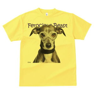 C^AO[nEh TVc Y LbY t@  t  vg JWA 킢 lԗp h ̃fUC ʔ Kl C^AO[nEh