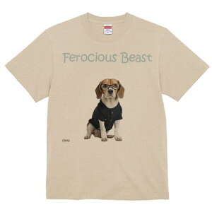 r[O TVc fB[X t@  t  vg JWA 킢 lԗp h ̃fUC ʔ Kl r[O Z[^[