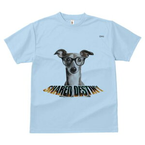 C^AO[nEh TVc Y LbY t@  t  vg JWA 킢 lԗp h ̃fUC ʔ Kl C^AO[nEh