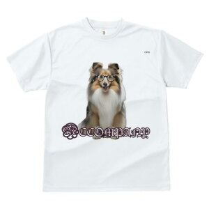 VFbghV[vhbO TVc Y LbY t@  t  vg JWA 킢 lԗp h ̃fUC ʔ Kl VFbghV[vhbO