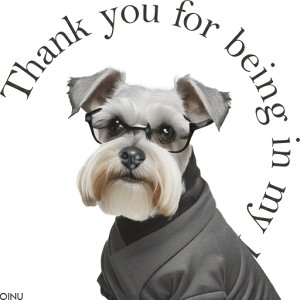 Kl ~j`AViEU[ X[c NbVJo[ 45×45cm Aj}   NbV{̕t ` t@