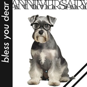 Kl ~j`AViEU[ NbVJo[ 45×45cm Aj}   NbV{̕t ` t@