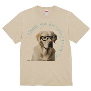 uh[go[ TVc Y LbY t@  t  vg JWA 킢 lԗp h ̃fUC ʔ Kl uh[go[