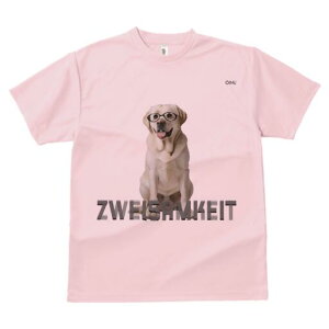 uh[go[ TVc fB[X t@  t  vg JWA 킢 lԗp h ̃fUC ʔ Kl uh[go[