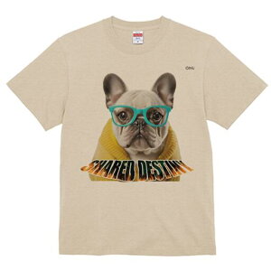 t`uhbO TVc fB[X t@  t  vg JWA 킢 lԗp h ̃fUC ʔ Kl t`uhbO 