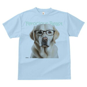 S[fgo[ TVc fB[X t@  t  vg JWA 킢 lԗp h ̃fUC ʔ Kl S[fgo[