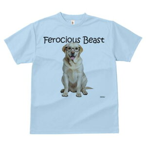 uh[go[ TVc Y LbY t@  t  vg JWA 킢 lԗp h ̃fUC ʔ Kl uh[go[