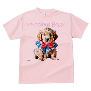 S[fgo[ TVc fB[X t@  t  vg JWA 킢 lԗp h ̃fUC ʔ lN^C S[fgo[ 킢 