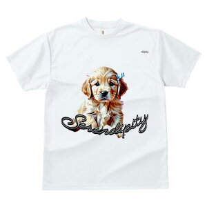 S[fgo[ TVc fB[X t@  t  vg JWA 킢 lԗp h ̃fUC ʔ { S[fgo[