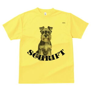 ~j`AViEU[ TVc fB[X t@  t  vg JWA 킢 lԗp h ̃fUC ʔ Kl ~j`AViEU[