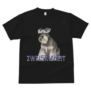 ~j`AViEU[ TVc Y LbY t@  t  vg JWA 킢 lԗp h ̃fUC ʔ Kl ~j`AViEU[