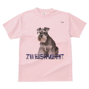 ~j`AViEU[ TVc Y LbY t@  t  vg JWA 킢 lԗp h ̃fUC ʔ Kl ~j`AViEU[