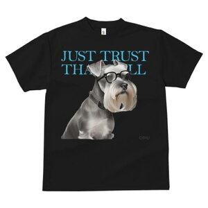 ~j`AViEU[ TVc fB[X t@  t  vg JWA 킢 lԗp h ̃fUC ʔ Kl ~j`AViEU[ 