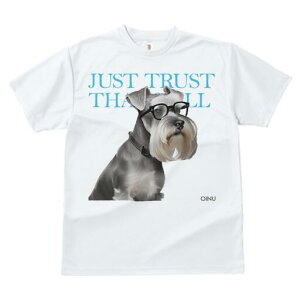 ~j`AViEU[ TVc fB[X t@  t  vg JWA 킢 lԗp h ̃fUC ʔ Kl ~j`AViEU[ 