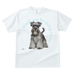 ~j`AViEU[ TVc fB[X t@  t  vg JWA 킢 lԗp h ̃fUC ʔ Kl ~j`AViEU[