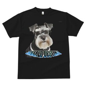 ~j`AViEU[ TVc fB[X t@  t  vg JWA 킢 lԗp h ̃fUC ʔ Kl ~j`AViEU[ 