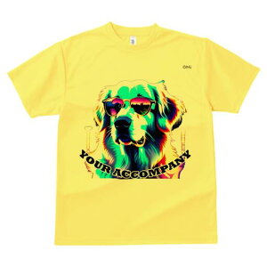 S[fgo[ TVc fB[X t@  t  vg JWA 킢 lԗp h ̃fUC ʔ TOX S[fgo[