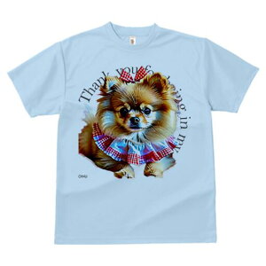 |jA TVc fB[X t@  t  vg JWA 킢 lԗp h ̃fUC ʔ { |jA 