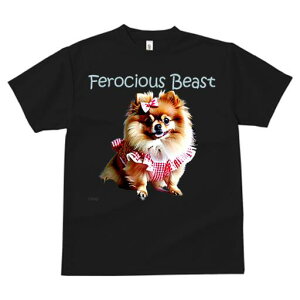 |jA TVc fB[X t@  t  vg JWA 킢 lԗp h ̃fUC ʔ  |jA {