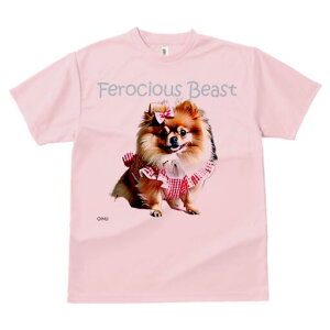 |jA TVc fB[X t@  t  vg JWA 킢 lԗp h ̃fUC ʔ  |jA {