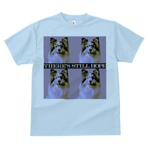 VFbghV[vhbO TVc Y LbY t@  t  vg JWA 킢 lԗp h ̃fUC ʔ Kl VFbghV[vhbO