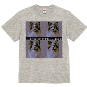 VFbghV[vhbO TVc Y LbY t@  t  vg JWA 킢 lԗp h ̃fUC ʔ Kl VFbghV[vhbO