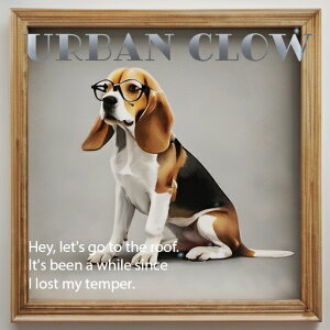 Kl r[O t[ NbVJo[ 45×45cm Aj}   NbV{̕t ` t@