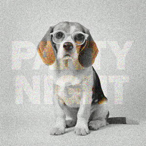 Kl r[O NbVJo[ 45×45cm Aj}   NbV{̕t ` t@