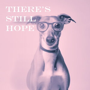 ���K�l �C�^���A���O���[�n�E���h �N�b�V�����J�o�[ 45×45cm �A�j�}���� ������� ���� �N�b�V�����{�̕t�� �����` ���t�@��