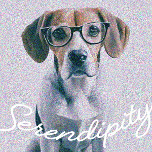 Kl r[O NbVJo[ 45×45cm Aj}   NbV{̕t ` t@