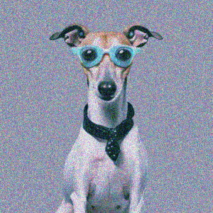 Kl C^AO[nEh lN^C NbVJo[ 45×45cm Aj}   NbV{̕t ` t@