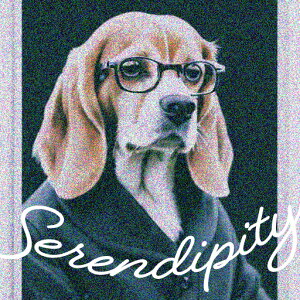 Kl r[O X[c NbVJo[ 45×45cm Aj}   NbV{̕t ` t@