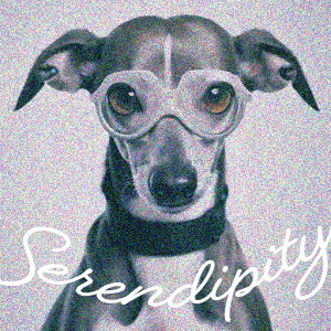 Kl C^AO[nEh NbVJo[ 45×45cm Aj}   NbV{̕t ` t@