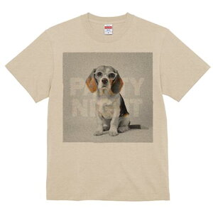 r[O TVc Y LbY t@  t  vg JWA 킢 lԗp h ̃fUC ʔ Kl r[O