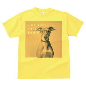 C^AO[nEh TVc Y LbY t@  t  vg JWA 킢 lԗp h ̃fUC ʔ Kl C^AO[nEh