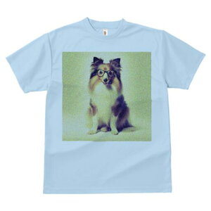 VFbghV[vhbO TVc Y LbY t@  t  vg JWA 킢 lԗp h ̃fUC ʔ Kl VFbghV[vhbO