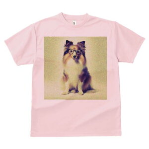 VFbghV[vhbO TVc Y LbY t@  t  vg JWA 킢 lԗp h ̃fUC ʔ Kl VFbghV[vhbO