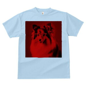 VFbghV[vhbO TVc Y LbY t@  t  vg JWA 킢 lԗp h ̃fUC ʔ Kl VFbghV[vhbO