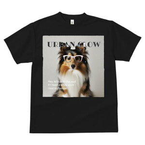 VFbghV[vhbO TVc Y LbY t@  t  vg JWA 킢 lԗp h ̃fUC ʔ Kl VFbghV[vhbO 