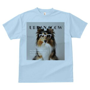 VFbghV[vhbO TVc Y LbY t@  t  vg JWA 킢 lԗp h ̃fUC ʔ Kl VFbghV[vhbO 