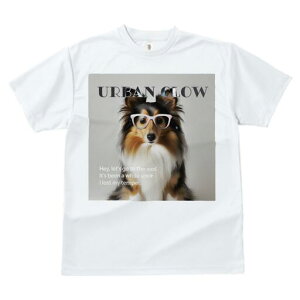 VFbghV[vhbO TVc fB[X t@  t  vg JWA 킢 lԗp h ̃fUC ʔ Kl VFbghV[vhbO 