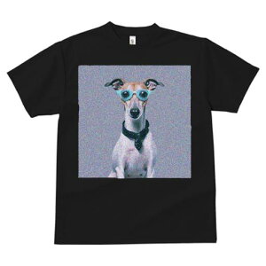 C^AO[nEh TVc Y LbY t@  t  vg JWA 킢 lԗp h ̃fUC ʔ Kl C^AO[nEh lN^