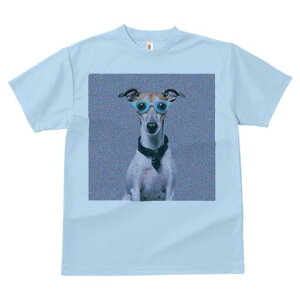 C^AO[nEh TVc Y LbY t@  t  vg JWA 킢 lԗp h ̃fUC ʔ Kl C^AO[nEh lN^