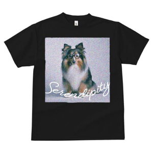 VFbghV[vhbO TVc Y LbY t@  t  vg JWA 킢 lԗp h ̃fUC ʔ Kl VFbghV[vhbO